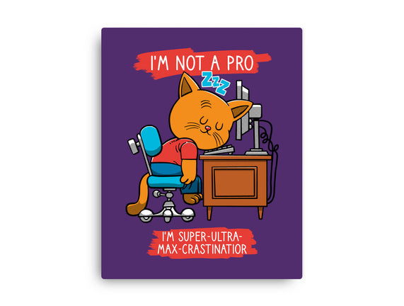 Expert Procrastinator