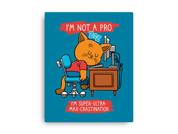 Expert Procrastinator