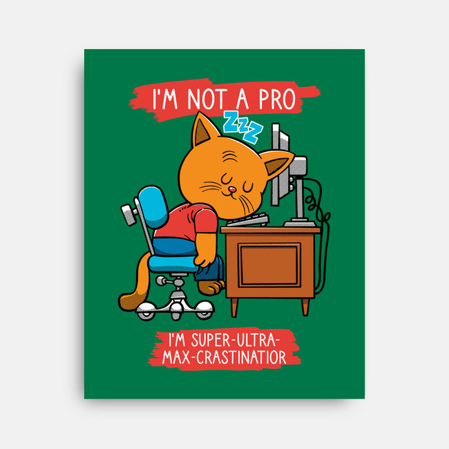 Expert Procrastinator-None-Stretched-Canvas-imisko