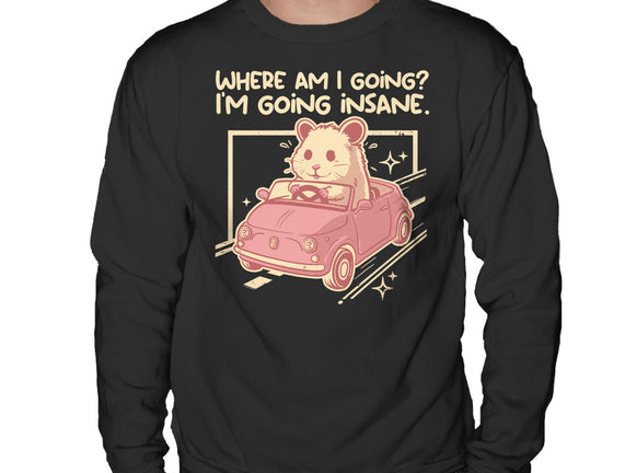I Am Going Insane