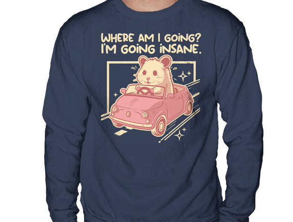 I Am Going Insane