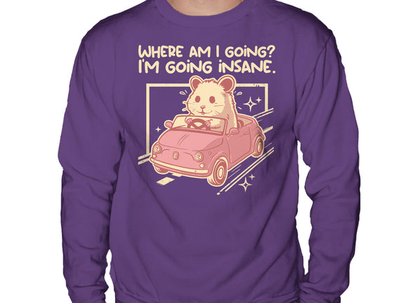 I Am Going Insane
