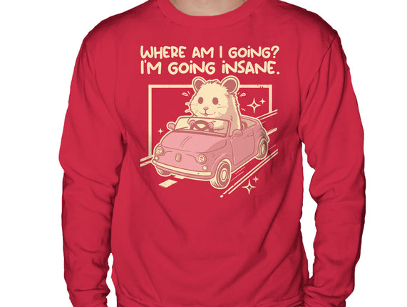 I Am Going Insane