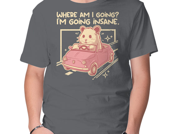 I Am Going Insane