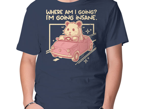 I Am Going Insane