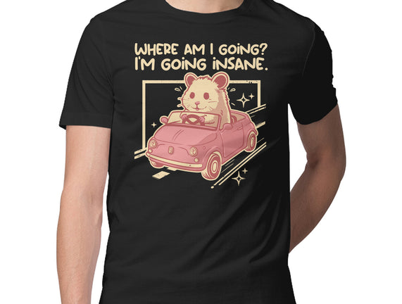 I Am Going Insane