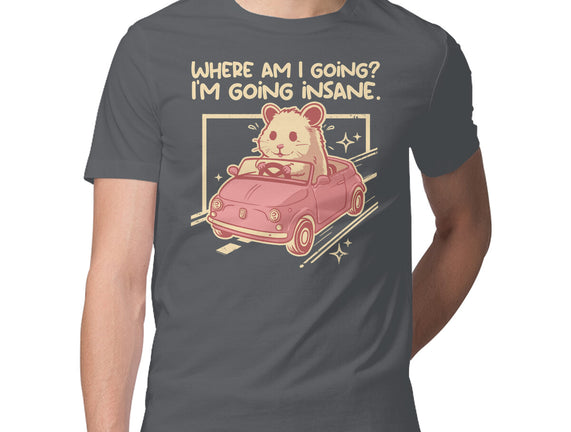 I Am Going Insane