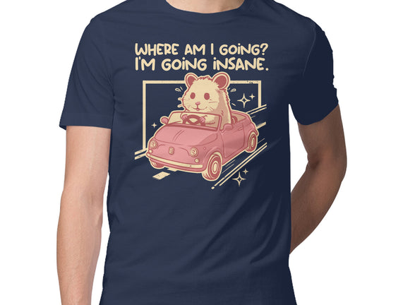 I Am Going Insane