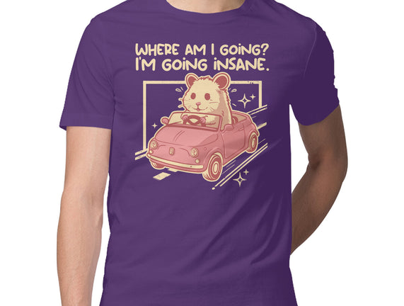I Am Going Insane