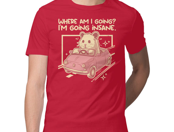 I Am Going Insane