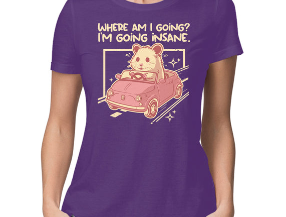 I Am Going Insane
