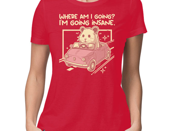 I Am Going Insane