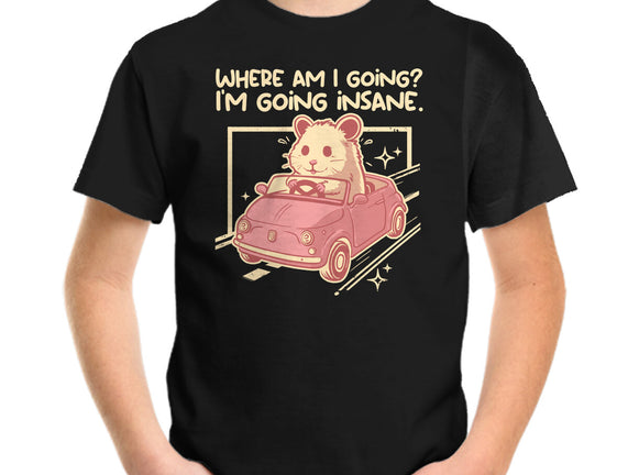 I Am Going Insane