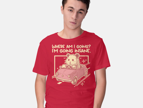 I Am Going Insane