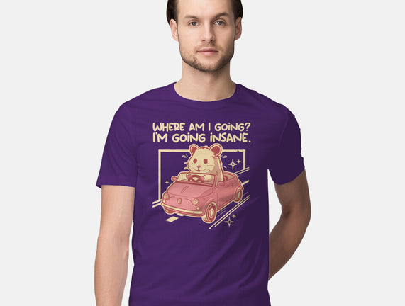 I Am Going Insane