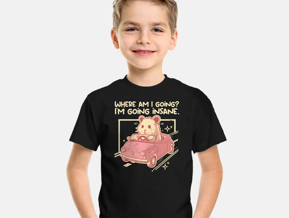 I Am Going Insane