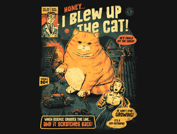 Honey I Blew Up The Cat