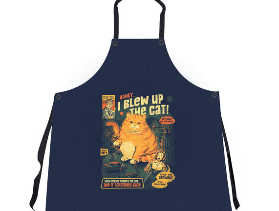 Honey I Blew Up The Cat