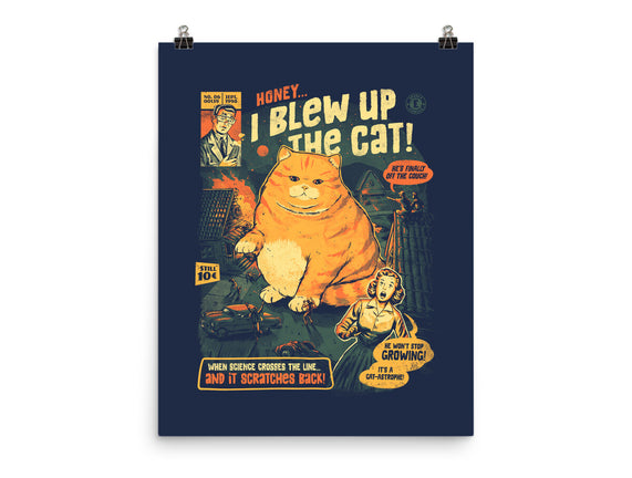 Honey I Blew Up The Cat