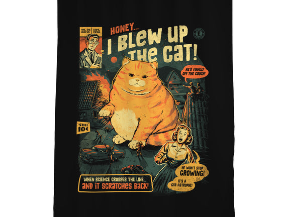 Honey I Blew Up The Cat