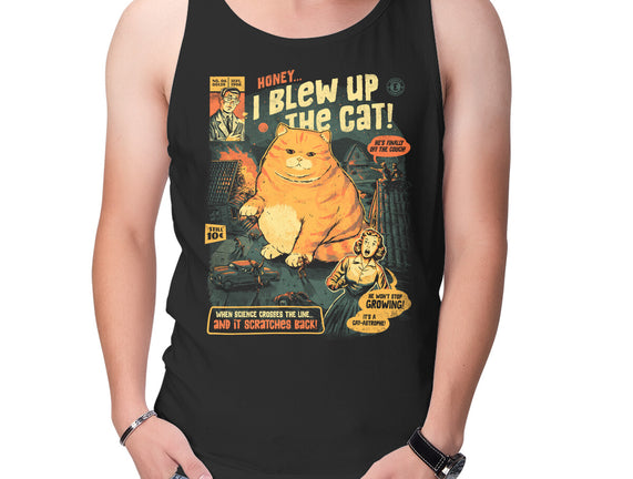 Honey I Blew Up The Cat