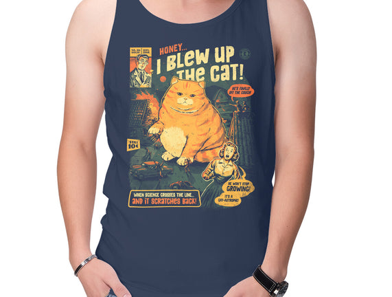 Honey I Blew Up The Cat