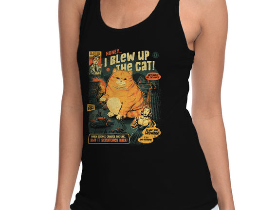 Honey I Blew Up The Cat
