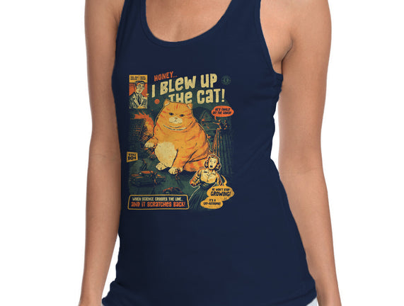 Honey I Blew Up The Cat