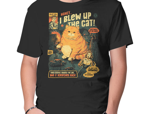 Honey I Blew Up The Cat