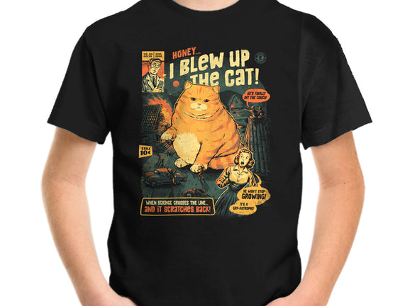 Honey I Blew Up The Cat
