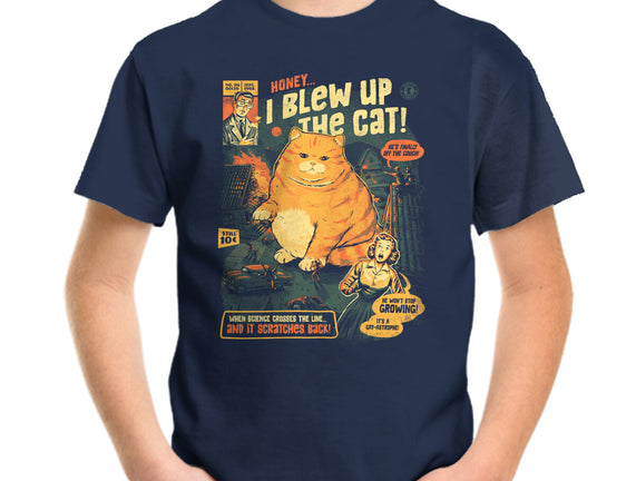 Honey I Blew Up The Cat