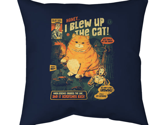 Honey I Blew Up The Cat