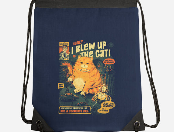 Honey I Blew Up The Cat