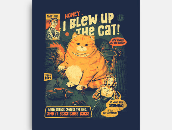 Honey I Blew Up The Cat