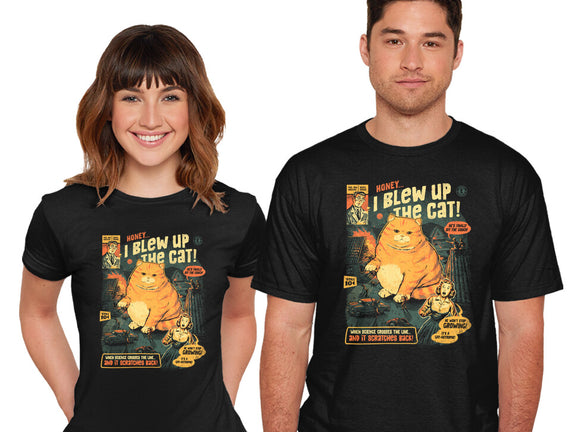 Honey I Blew Up The Cat