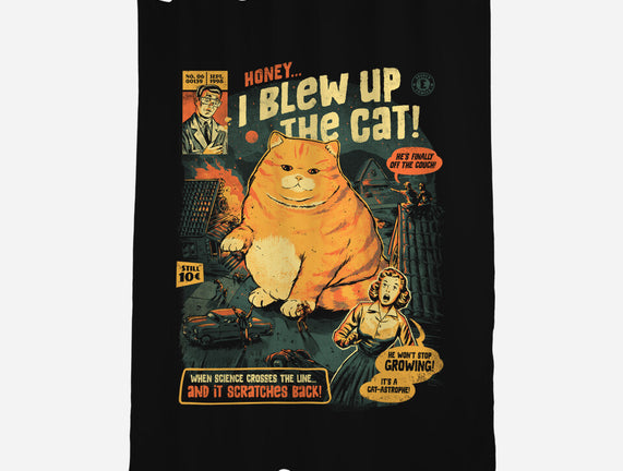 Honey I Blew Up The Cat