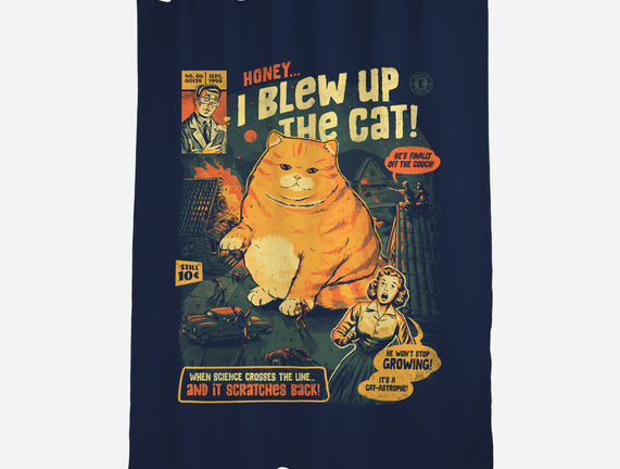 Honey I Blew Up The Cat