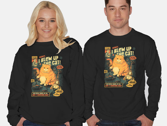 Honey I Blew Up The Cat
