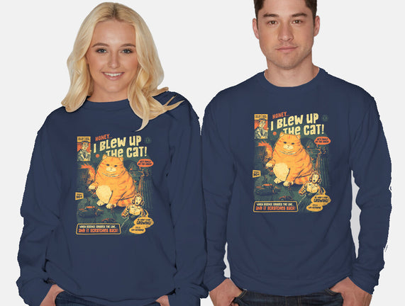 Honey I Blew Up The Cat