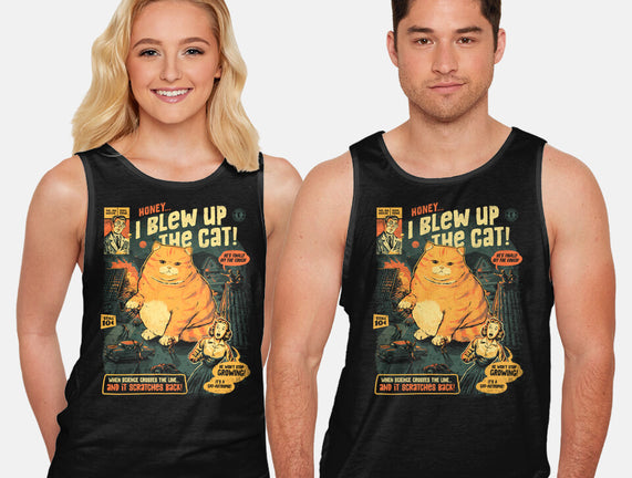 Honey I Blew Up The Cat