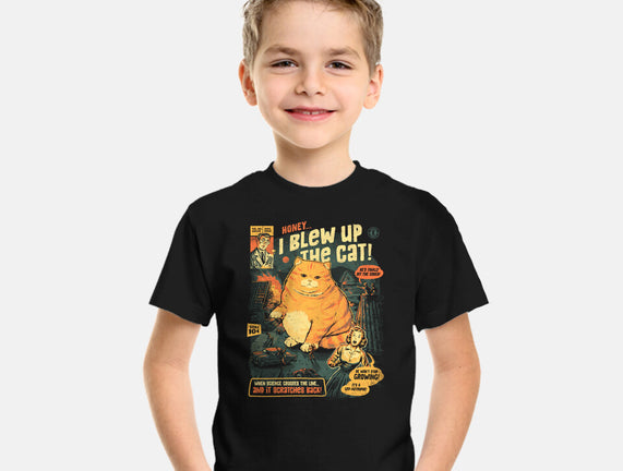 Honey I Blew Up The Cat