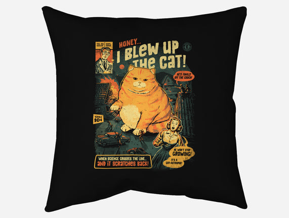 Honey I Blew Up The Cat