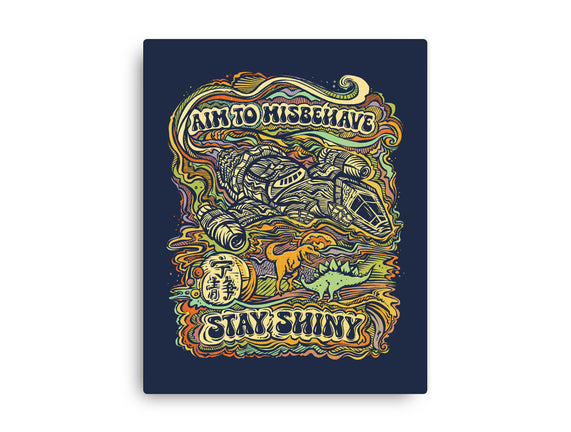 Stay Shiny
