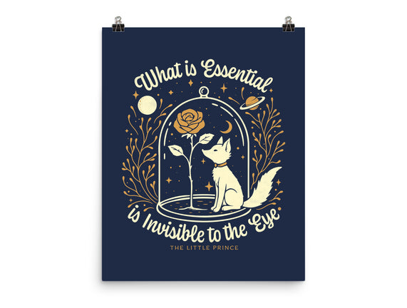 The Rose And The Fox
