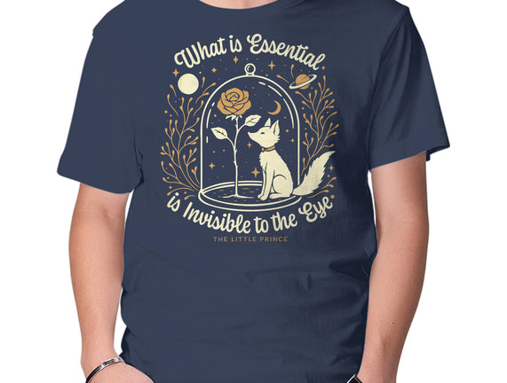 The Rose And The Fox