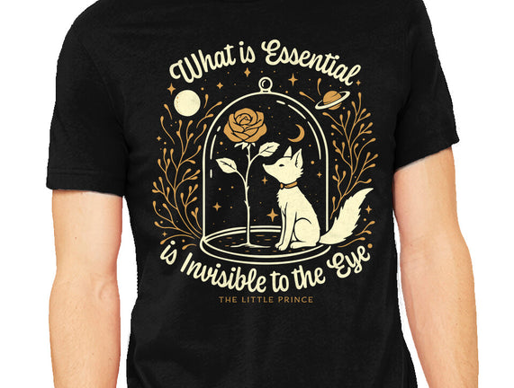 The Rose And The Fox
