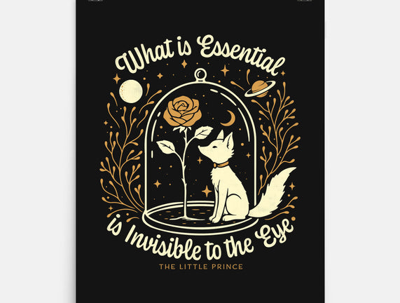 The Rose And The Fox