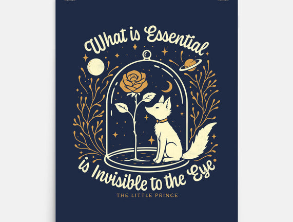 The Rose And The Fox