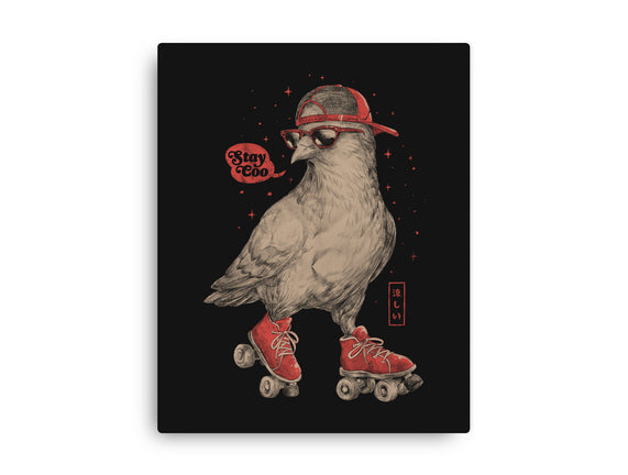 Stay Coo