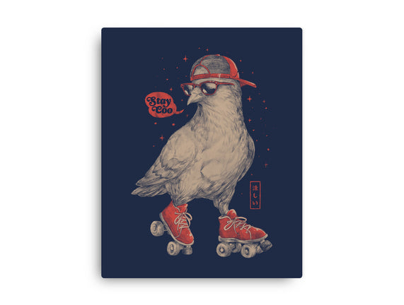Stay Coo